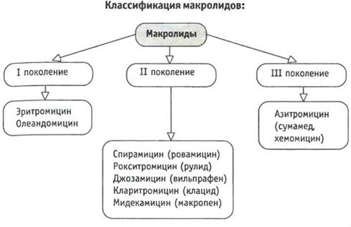 Макролиды