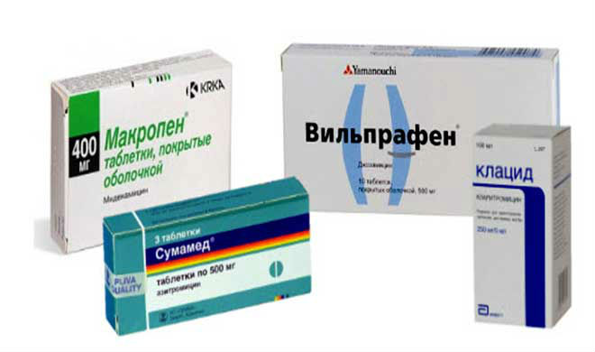Макролиды