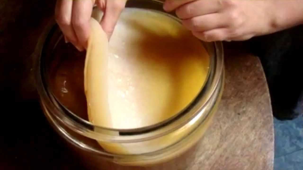 Как применять чайный гриб?