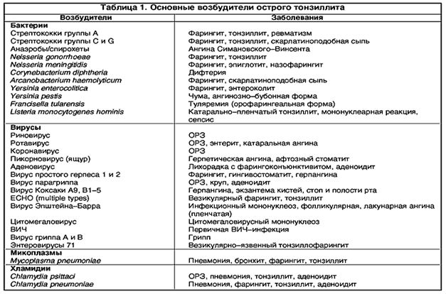 Возбудители ангины