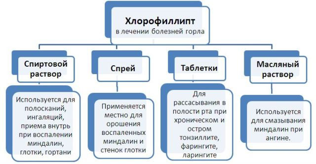 Хлорофиллипт Хлорофиллипт
