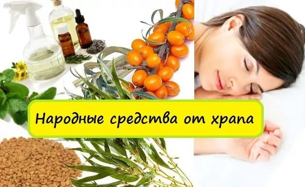 Сон и ветка облепихи