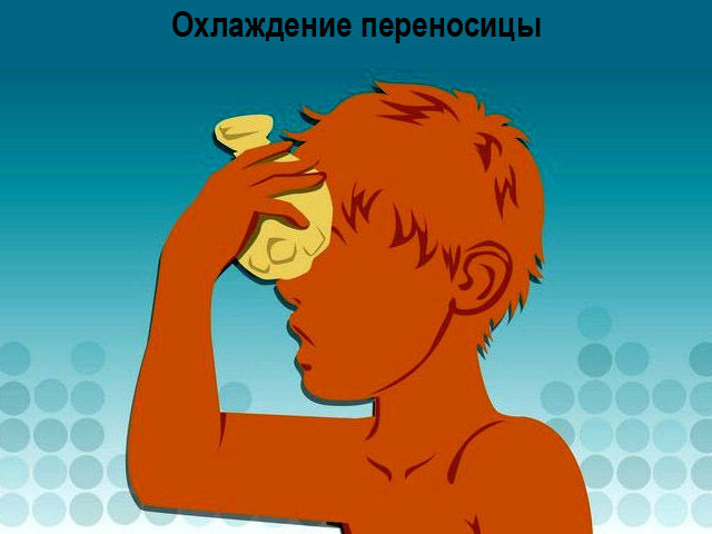 Охлаждение переносицы