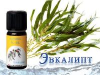 Эвкалиптовое масло