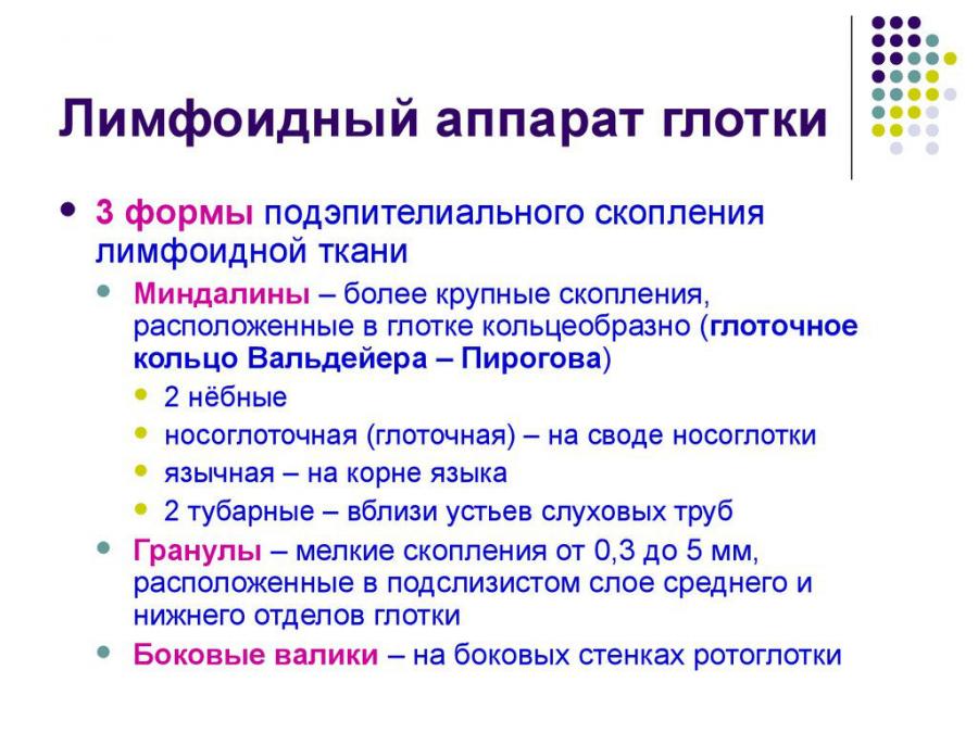 Лимфоидный аппарат глотки