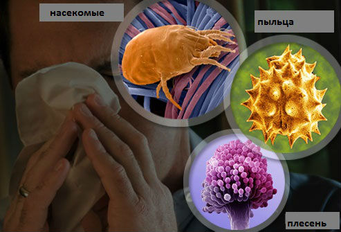 Аллергены Аллергены