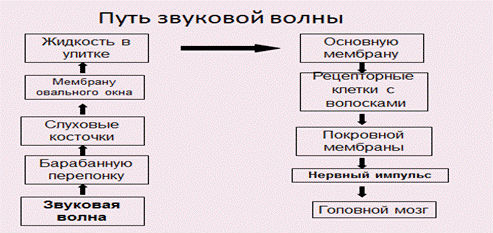 Путь звуковой волны