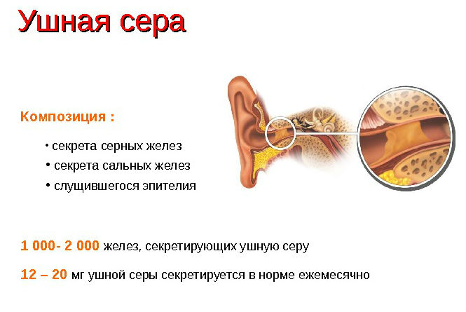 Ушная сера